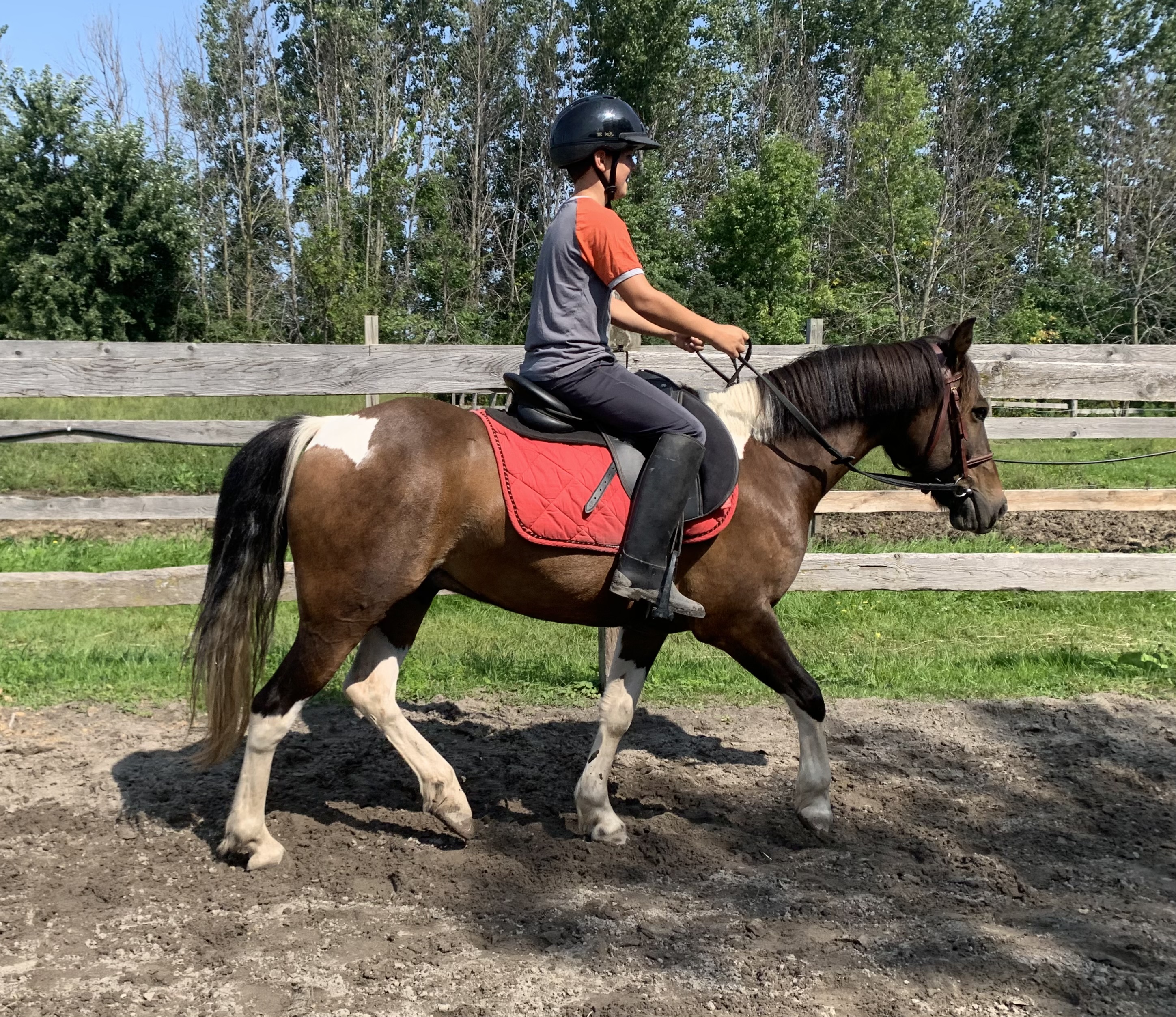 Cours d'équitation pour enfants près de Chambly et Saint-Jean-sur-Richelieu